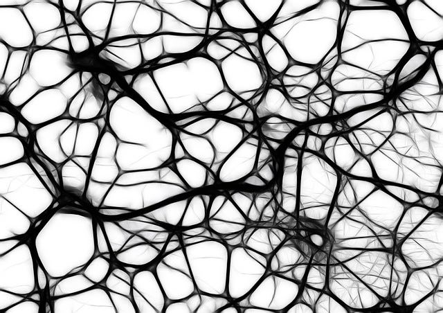 Neuronennetz in Gerhirn